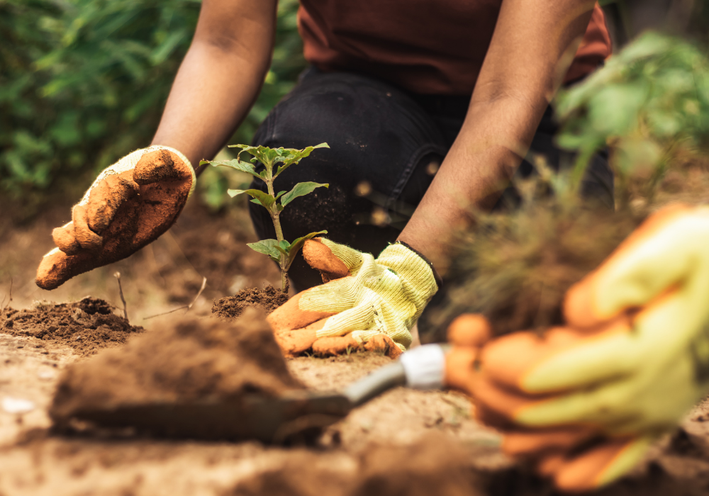 Environmental Sustainability facilities at boarding schools