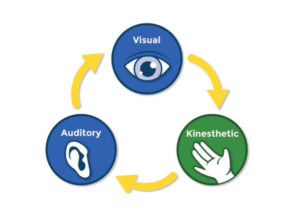 Understanding Different Learning Styles